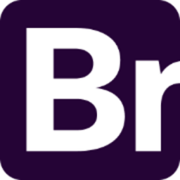 Brik logo